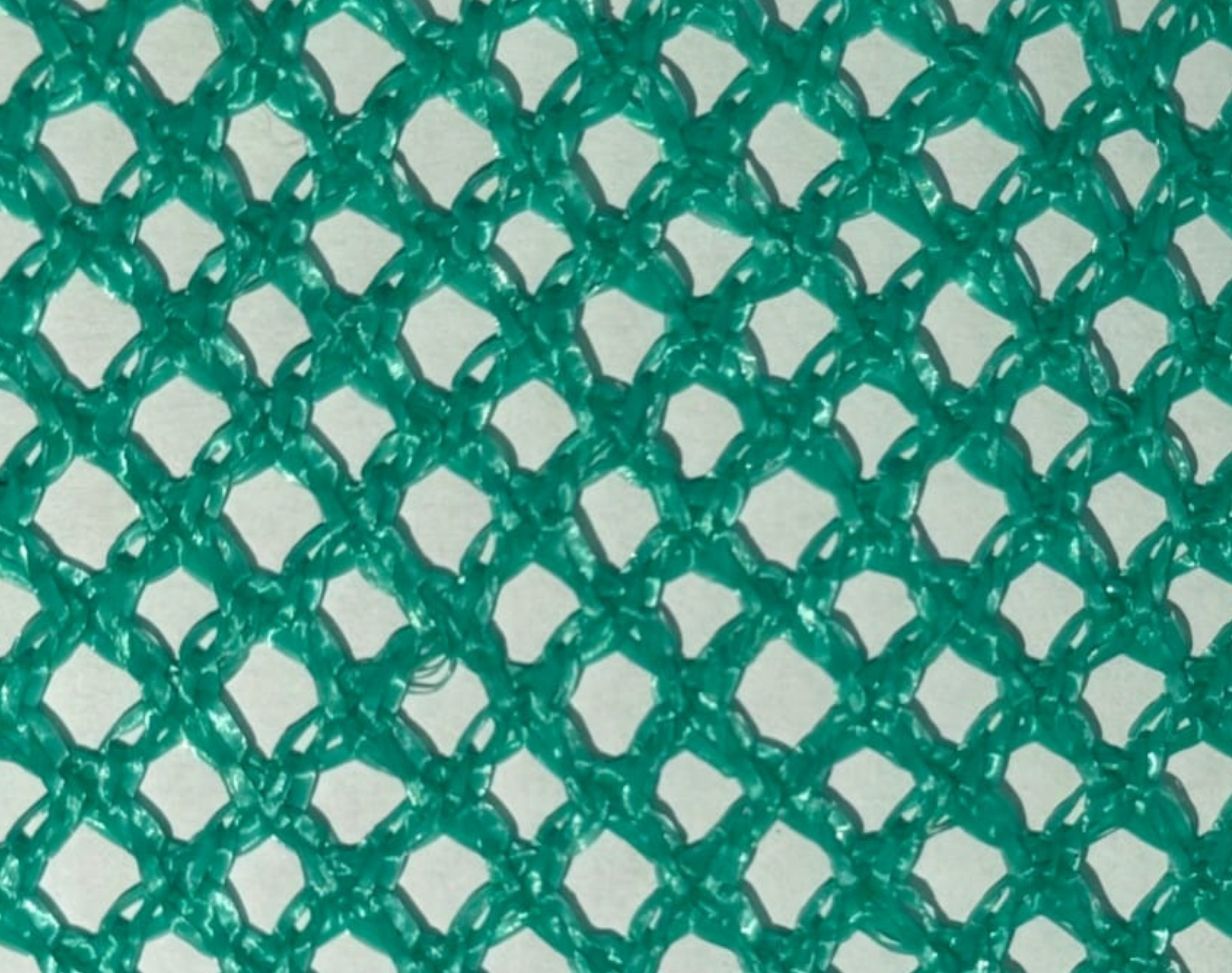 Joint Fish Nets Preview